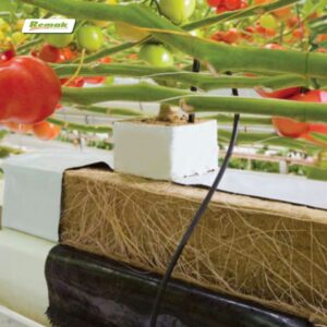 Bông rockwool trồng cây mang đến năng suất cao và hạn chế sâu bệnh